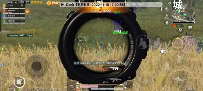 火焰鸟和平精英辅助器 - 人气辅助整合直装版